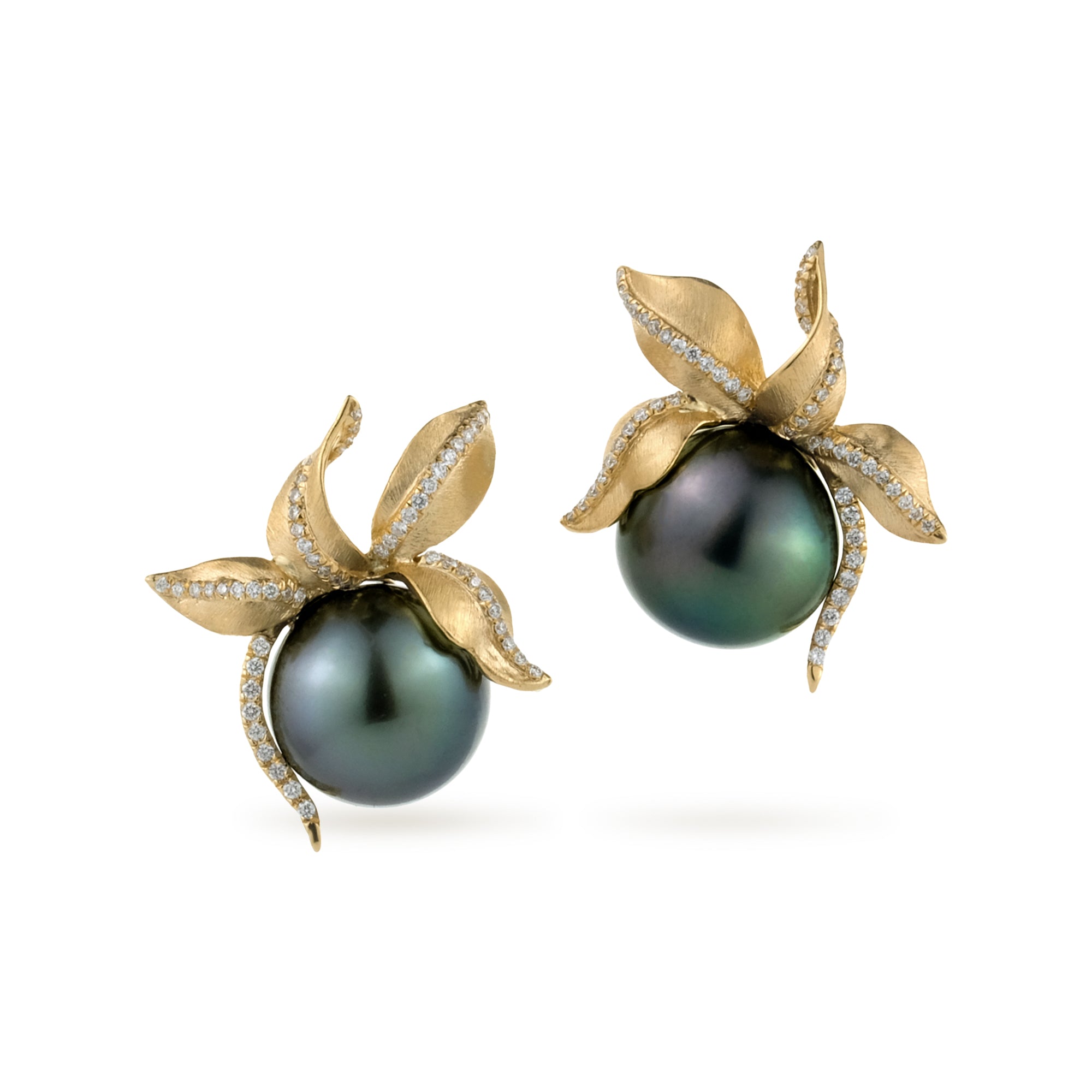 Ylang Ylang (Black South Sea Pearl)