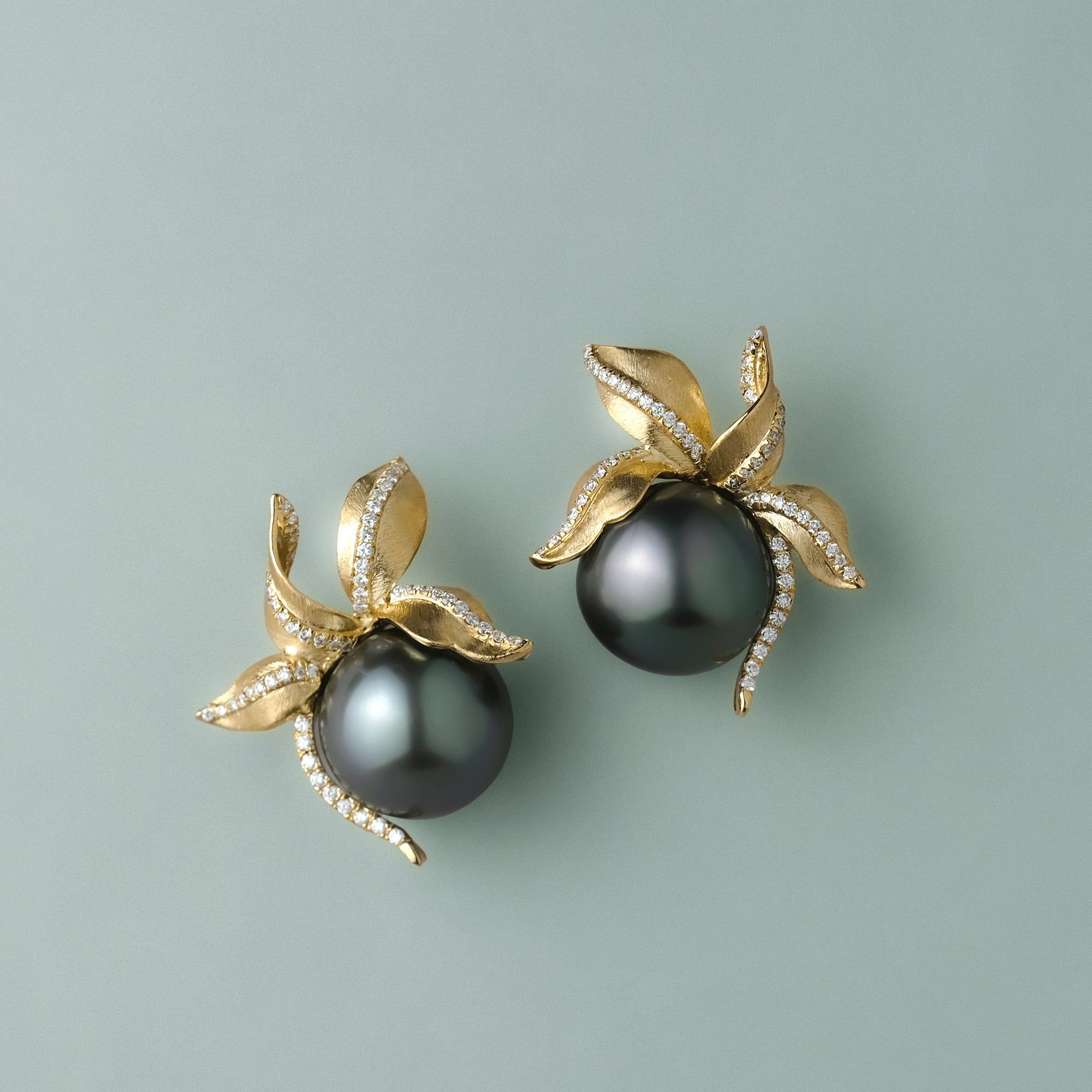 Ylang Ylang (Black South Sea Pearl)