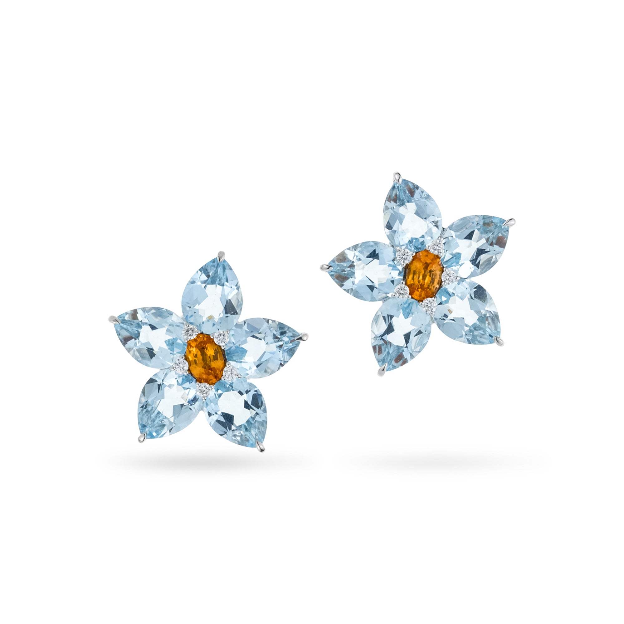 Aquamarine Blooms